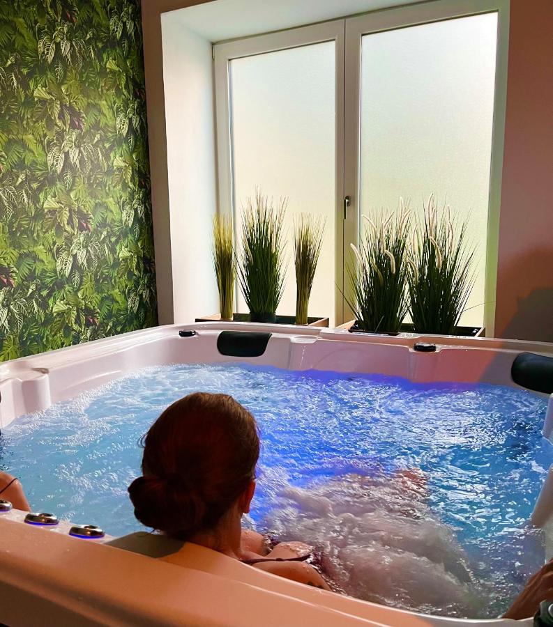 Le Manoir Des Haies Spa Les Champs-Géraux Esterno foto